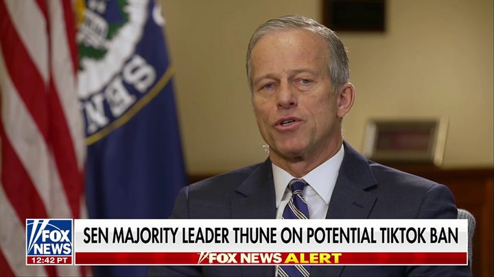 Sen. John Thune: Trump will be in a position to influence the TikTok decision