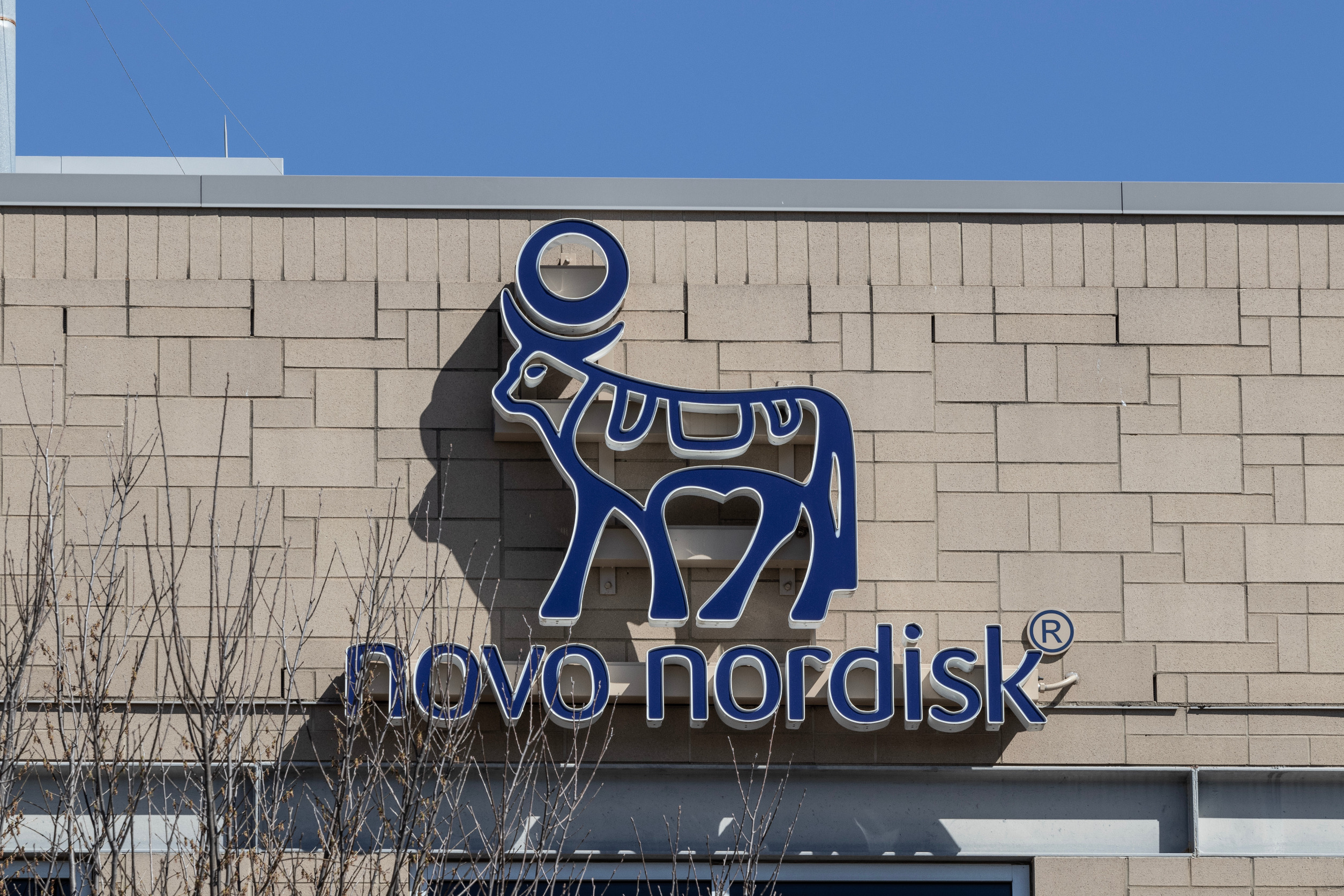 Novo Nordisk stock slid after strong 2025 results as weak 2026 guidance, rising competition and pricing pressure rattled investors.